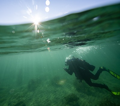 A diver heads up the sunny surface after a morning dive.