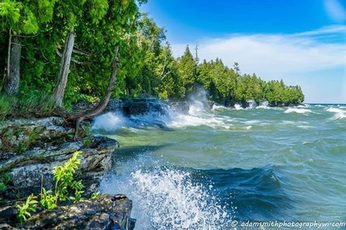 Water crashing up on the tree-lined shoreline