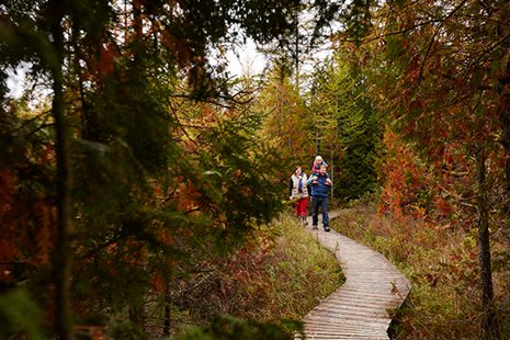 A family hiking on a boardwalk surrounded by fall trees