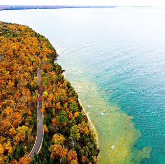 An aerial view of fall trees along the lake shoreline