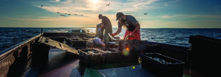 Ask a Local: Charlie Henriksen