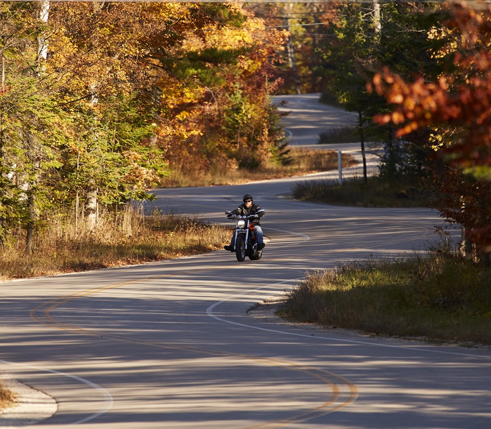 A motorcyclist riding down a winding tree-lined road.