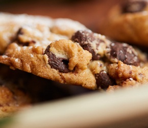 Closeup of a chocolate chip cookie.
