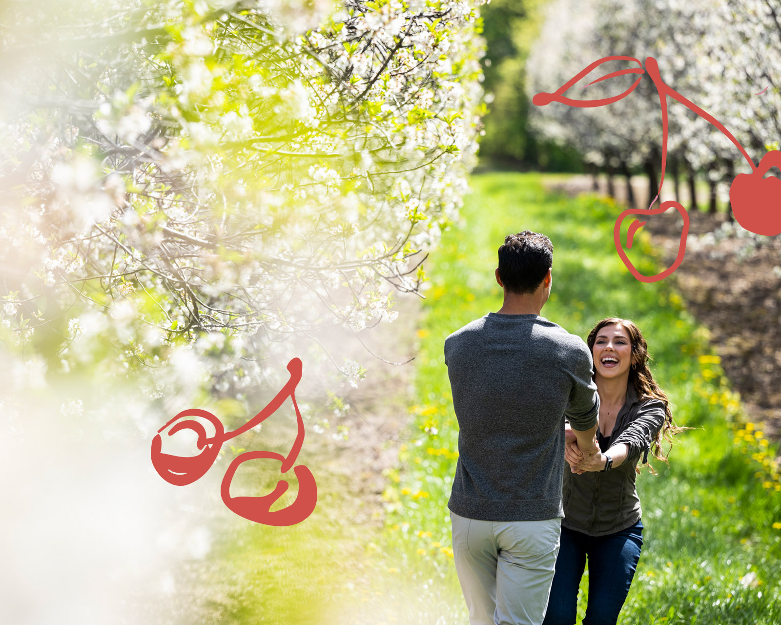 3 Ways to Experience a Region in Bloom