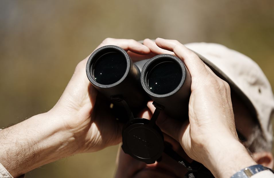 A bird watcher looking through binoculars.
