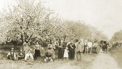 Historic photo of a crowd of people standing under blossoming trees.