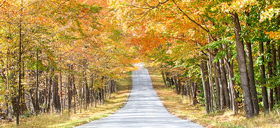 Fall in Door County | Destination Door County