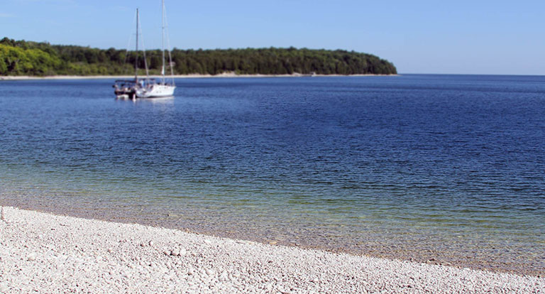 A the shoreline with a sailboat in the distance on the lake