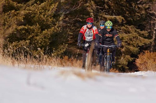Two fat-tire bikers ride out of the forest onto a snowy trail.