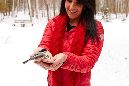 A chickadee eats birdseed from a woman's cupped hands in winter.