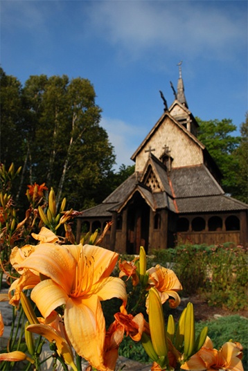 Closeup of a flower with a wooden building in the background