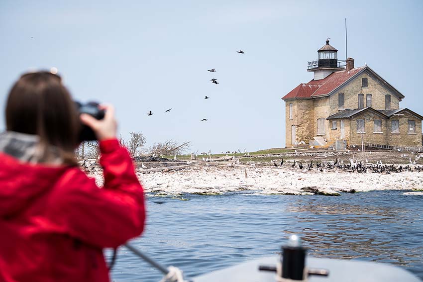 A woman taking pictures of a flock of birds in the distance near a boat house