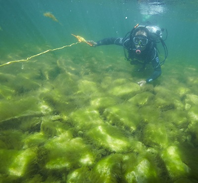 A diver explores a shipwreck beneath the water.