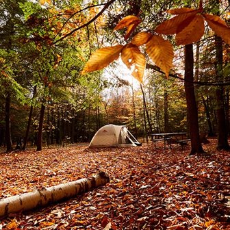 A tent at a campsite surrounded by fall leaves
