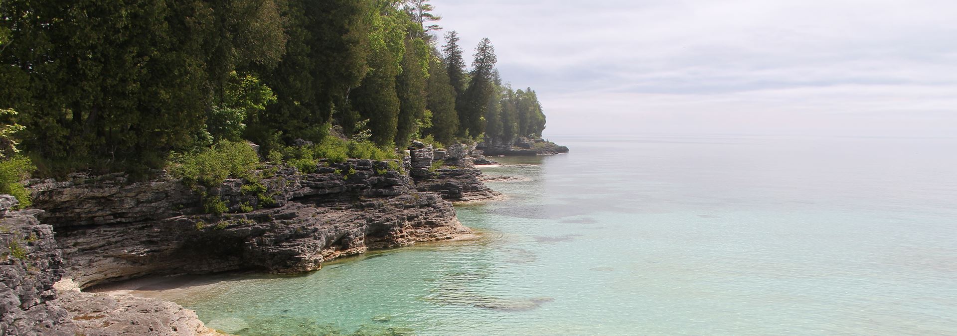 Trees lining the rocky lakeshore at Cave Point.