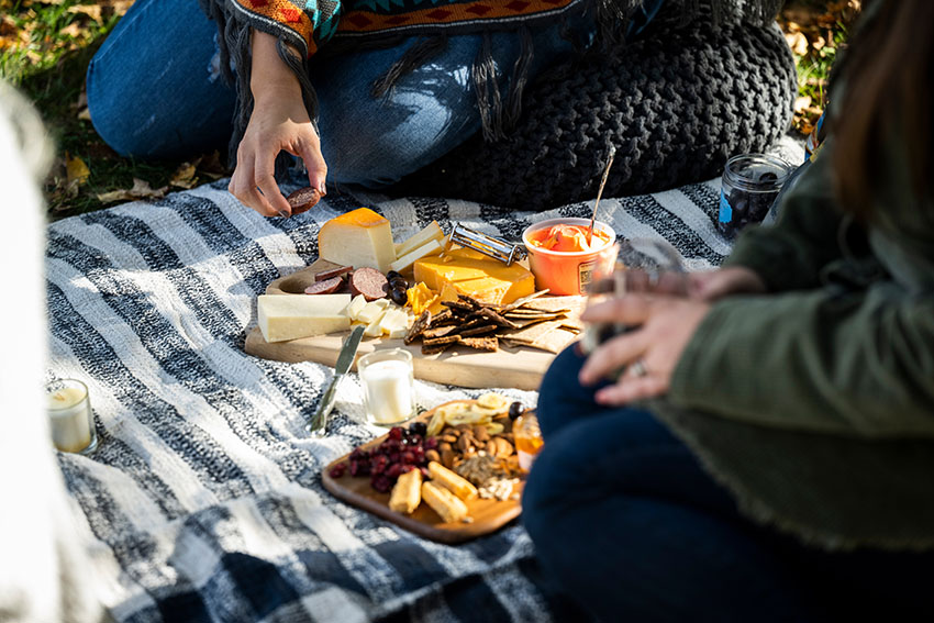 A group picnics at a park.
