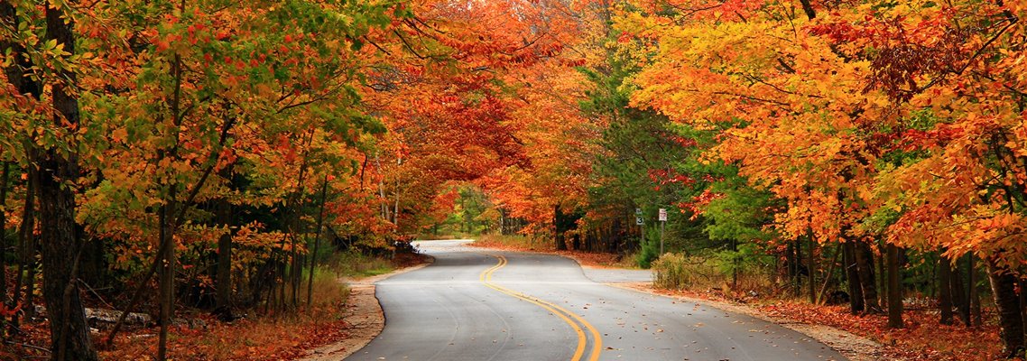 A winding road surrounded by colorful autumn trees.
