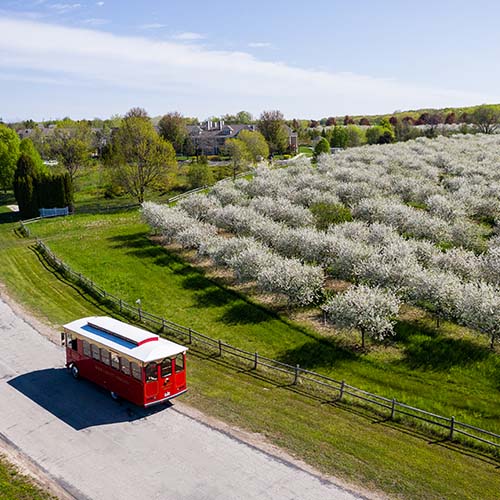 Aerial view of a trolley driving past an orchard.