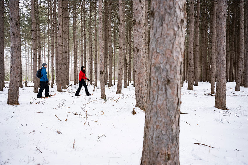 Couple snowshoeing together through Whitefish Dunes State Park in Sturgeon Bay.