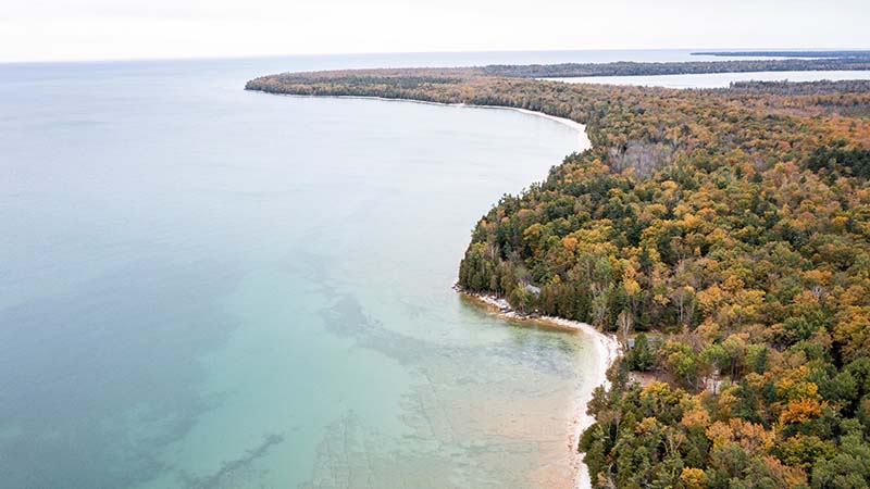 Aerial view of a beach shoreline and trees