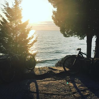 Sunsetting by trees and a bike silhouetted by the lake