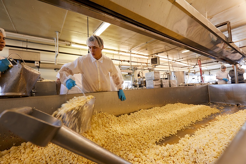 A worker stands over a vat of fresh cheese curds
