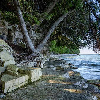 Rocks and a tree along the lake shore