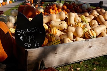 Squash at a farmers market stand