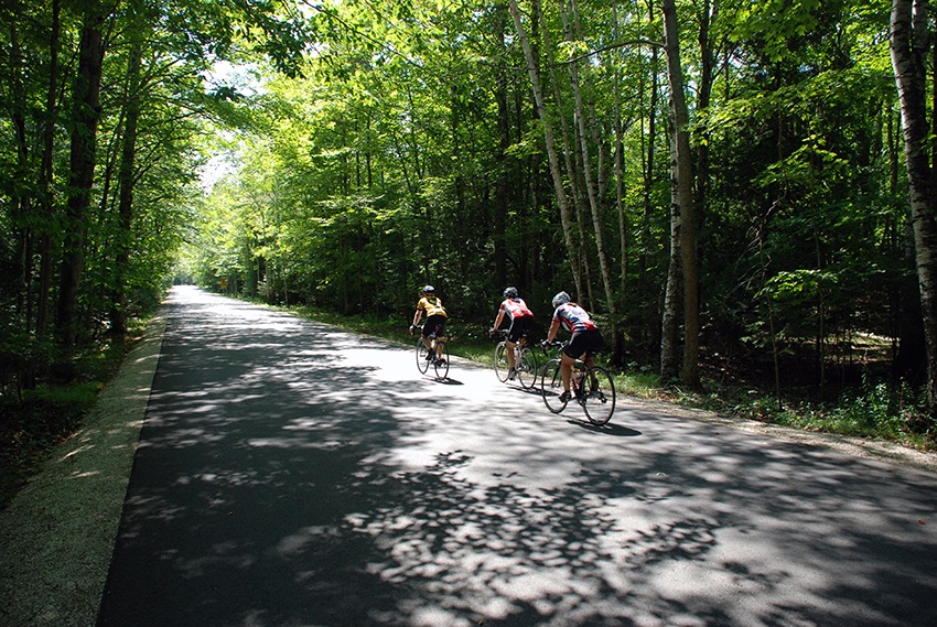 Three people ride bikes on a quiet tree-lined highway.
