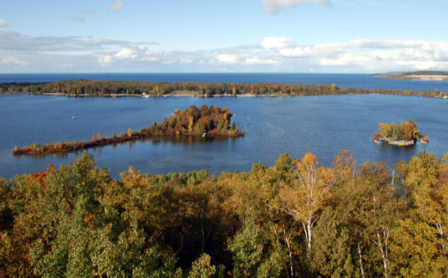 Aerial scenic view of trees and a lake