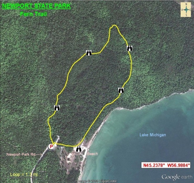 Aerial view map of Fern Trail in Newport State Park