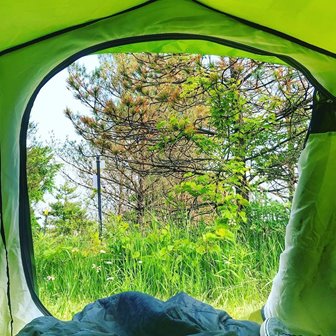 The inside of a tent looking out.