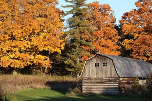 An old wooden barn surrounded by colorful trees.