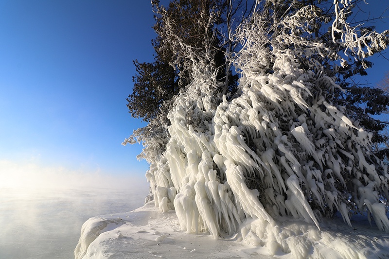 A frozen tree at Cave Point