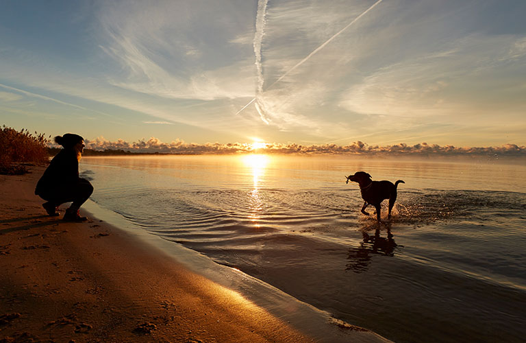 The silhouettes of a person and a dog at the lakefront at sunset.
