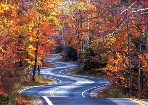 The famous "curvy road" in Northern Door County during peak fall color.