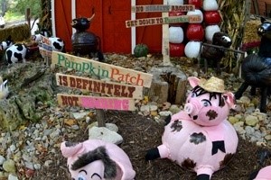 Stuffed animal pigs sitting in the dirt in front of a red barn.