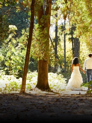 A bride and groom holding hands and walking down a sunlit path in the woods. 