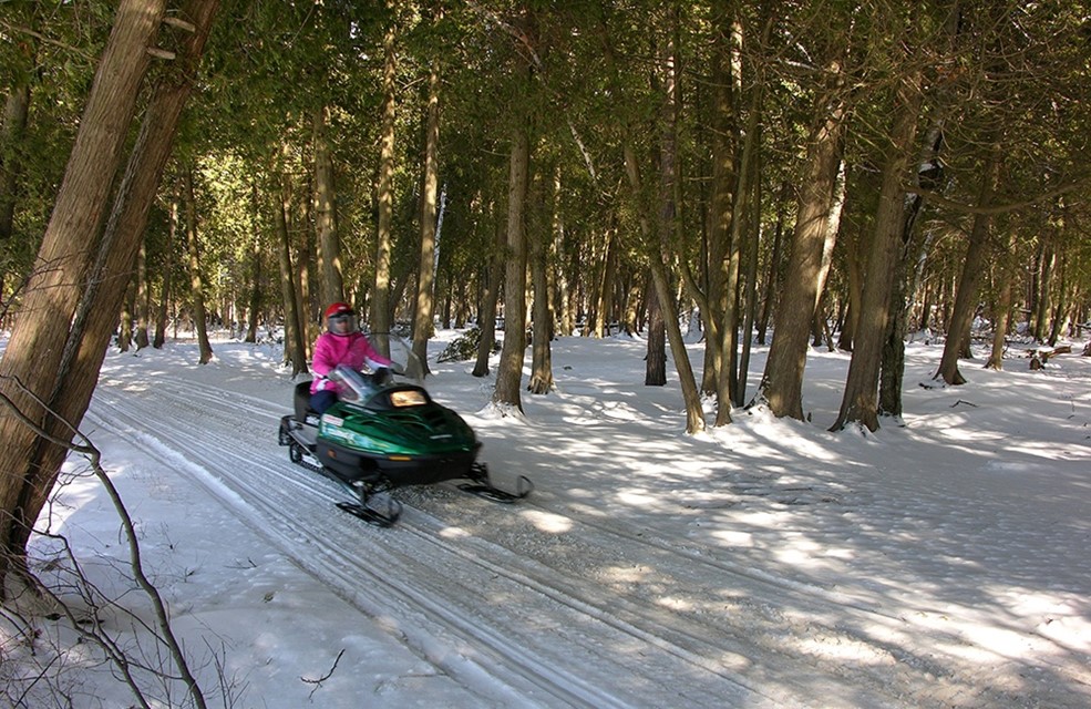 A snowmobiler driving through the woods.