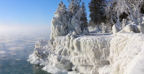 Cliff and trees at the lakefront covered in ice