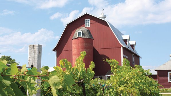 Red barn with grape vines in front of it.