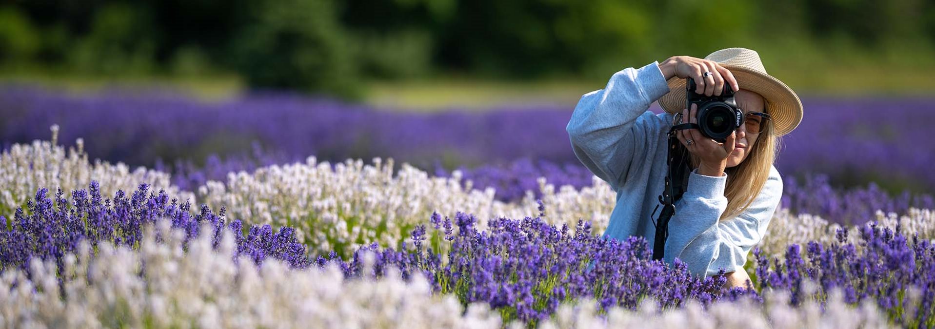 A woman in a lavender field