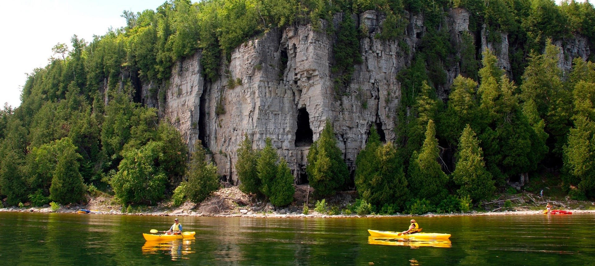 Kayakers paddling in front of a tree-lined cliff.