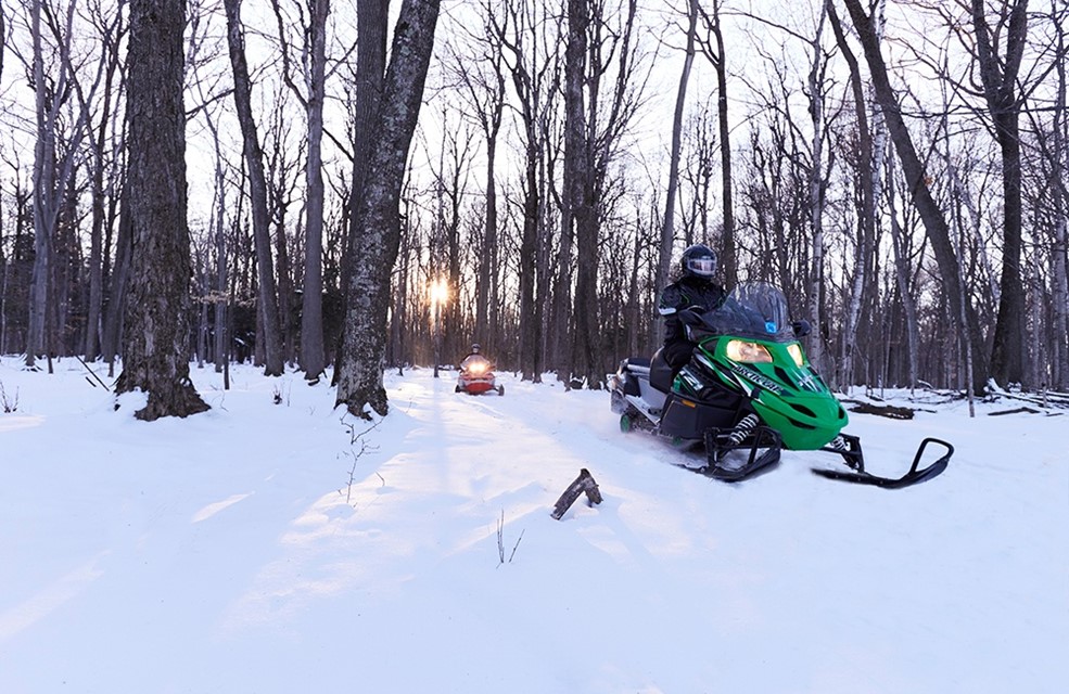 Snowmobilers coming out of the woods into a clearing.