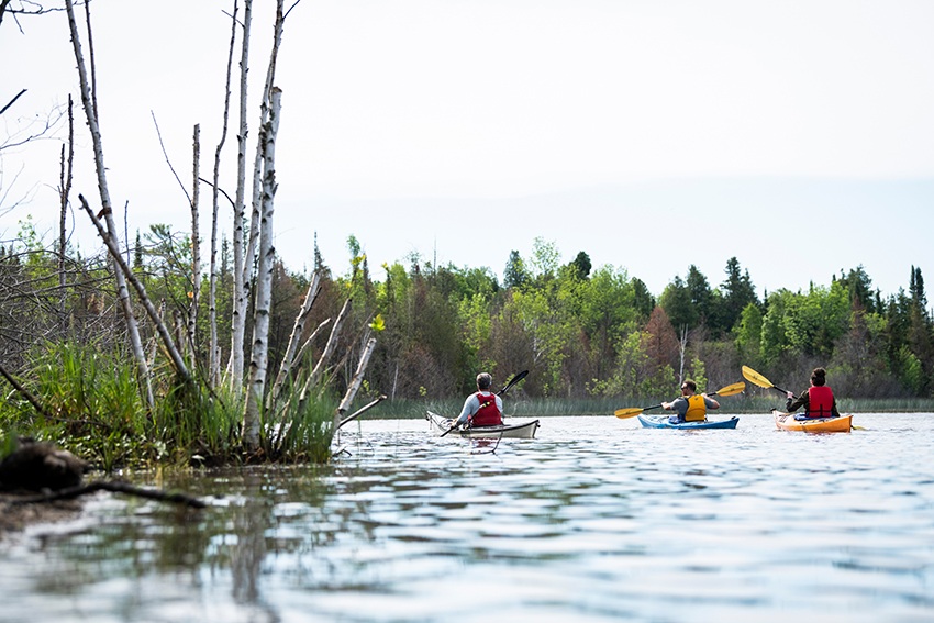 A family kayaks on the Mink River surrounded by forested shoreline.
