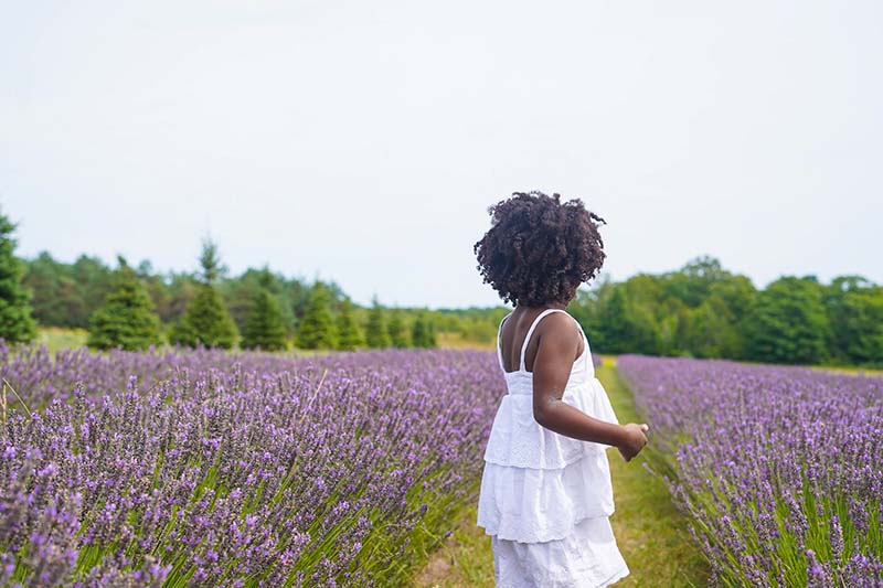 A woman walking through a lavender field in a white dress