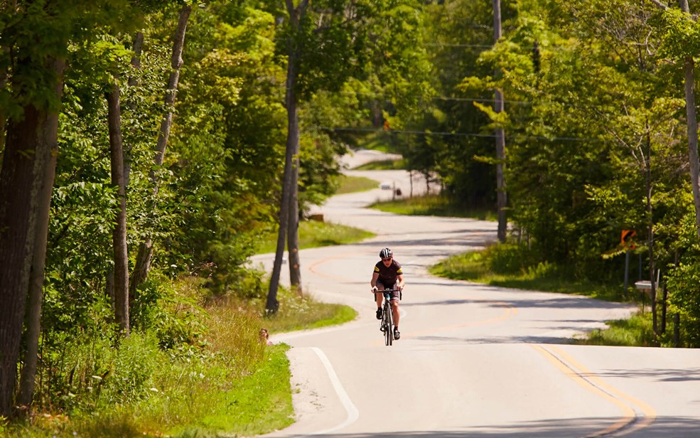 A cyclist riding down a curvy highway lined with trees.