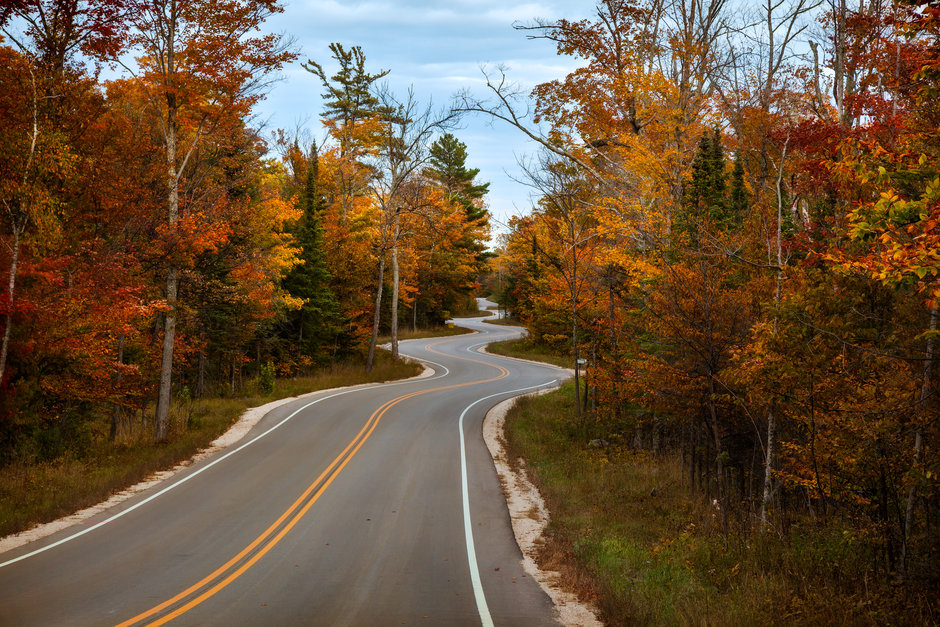 A road winding through the fall trees.