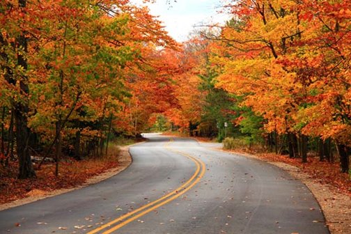Colorful tree-lined road in Whitefish Dunes Sate Park.