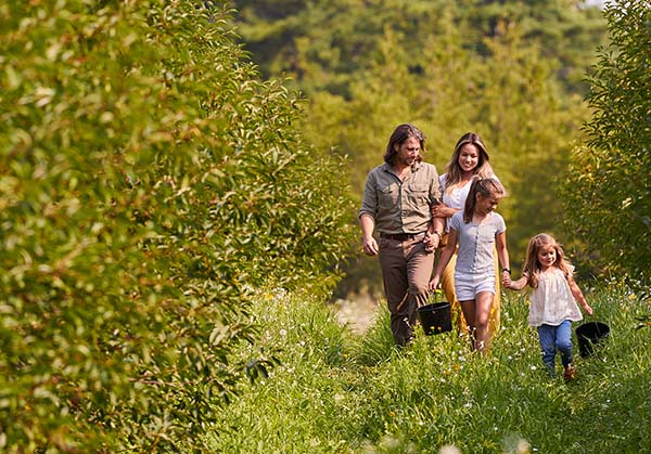 A family walking through an orchard.
